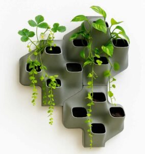 Fachada vegetal para depurar aguas residuales